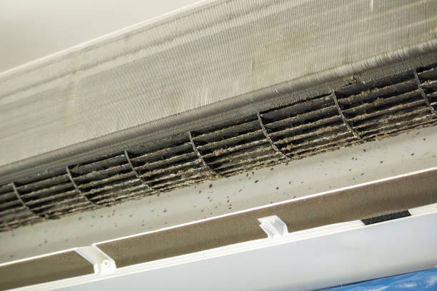 Best Air Quality Test  in Sutter, CA